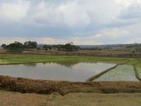 Dahrt nach Antsirabe - Reisfelder