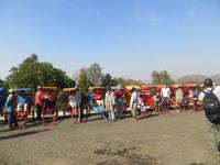 Antsirabe: diese Pousse-Pousses warten auf uns