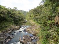 Ranomafana Nationalpark - Wanderung