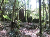 Ranomafana Nationalpark - Wanderung - 