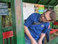 Ranomafana Nationalpark - Wanderung - Chamäleon