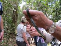 Ranomafana Nationalpark - Wanderung