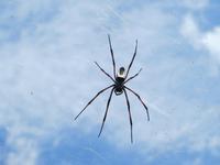 Ranomafana Nationalpark