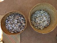 Ambalavao: Seidenspinnerei 