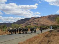 Weiterfahrt zum Isalo Park