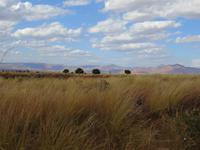 Weiterfahrt zum Isalo Park