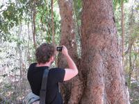 Wanderung im Isalo-Park
