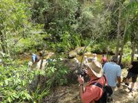 Wanderung im Isalo-Park