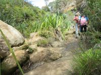 Wanderung im Isalo-Park
