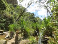 Wanderung im Isalo-Park