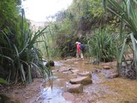 Wanderung im Isalo-Park