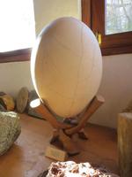 Tulear: im Botanischen Garten 