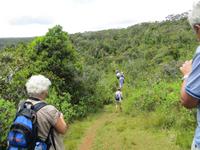 Mauritius: Wanderung im Black River NP