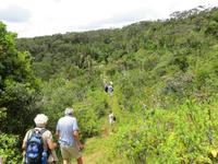 Mauritius: Wanderung im Black River NP