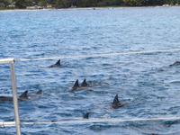 Mauritius: Katamaranfahrt