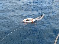 Mauritius: Katamaranfahrt