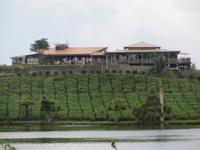 Mauritius: Teefabrik „Bois Cheri“