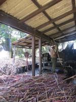 Mauritius: Rum-Destillerie