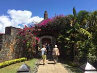 Mittagessen und Rumverkostung