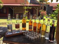 Mittagessen und Rumverkostung