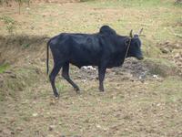 030 Madagaskar - Unterwegs nach Ranomafana