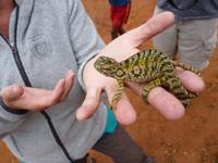 033 Madagaskar - Unterwegs nach Ranomafana