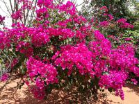 070 Madagaskar - Unterwegs nach Ranohira