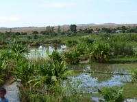 109 Madagaskar - Unterwegs nach Tulear