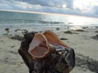 127 Madagaskar - Hotel La Mira du Madiorano