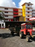 199 Mauritius - Teefabrik Bois Cheri