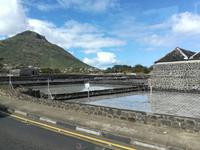 172 Mauritius - ehemalige Saline