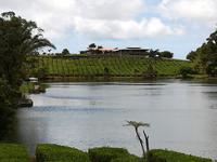 202 Mauritius - Le Bois Cheri Teeverkostung