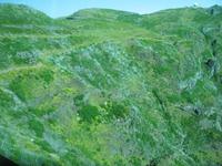 Fahrt zum Pico do Arieiro