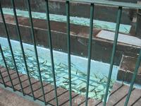 Posto Florestal Ribeiro Frio