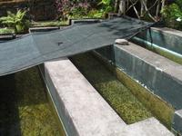 Posto Florestal Ribeiro Frio