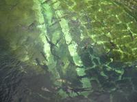 Posto Florestal Ribeiro Frio