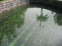 Posto Florestal Ribeiro Frio