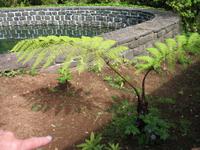 Posto Florestal Ribeiro Frio