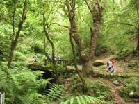 Wanderung Vereda dos Balcões 