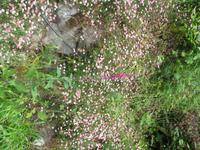 Madeira Auswahl 2016