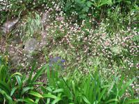 Wanderung Vereda dos Balcões 