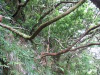 Wanderung Vereda dos Balcões 