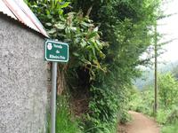 Wanderung Vereda dos Balcões 