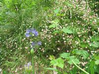 Wanderung Vereda dos Balcões 