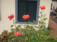 Wanderung Vereda dos Balcões 