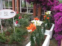 Mittagspause im Restaurant 