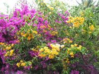 Mittagspause im Restaurant 