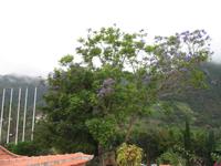 Mittagspause im Restaurant 