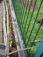 Posto Florestal Ribeiro Frio