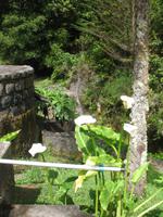 Posto Florestal Ribeiro Frio